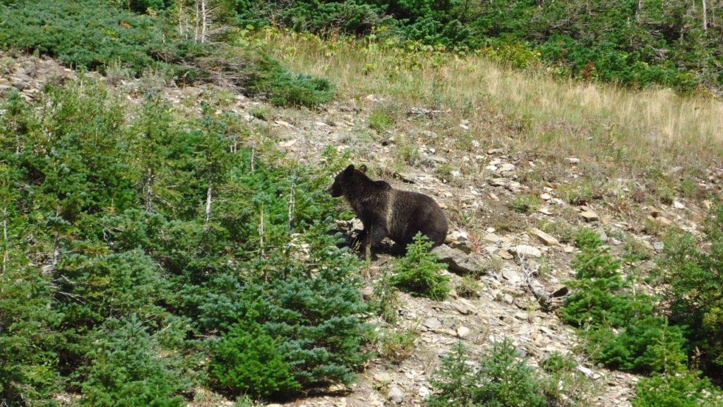 Причины, которые резко снижают для меня ценность миль Alaska